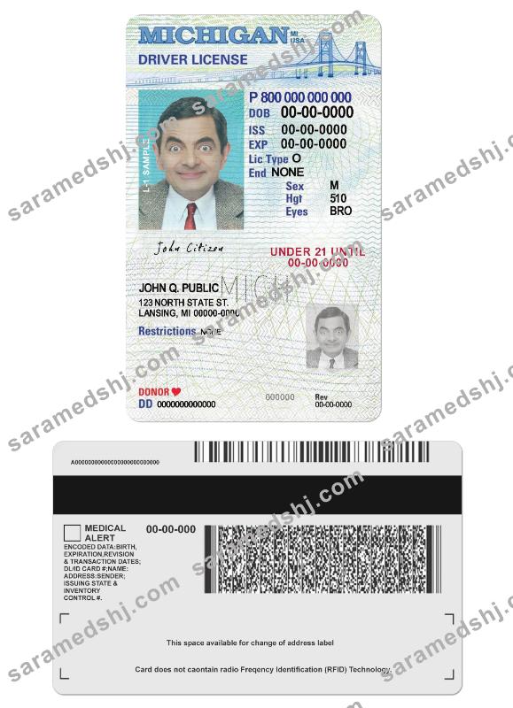 USA Michigan driving license under 21